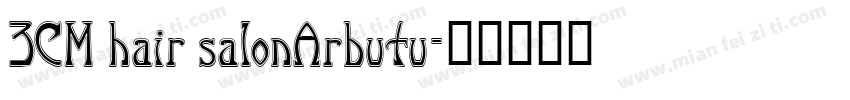 3CM hair salonArbutu字体转换